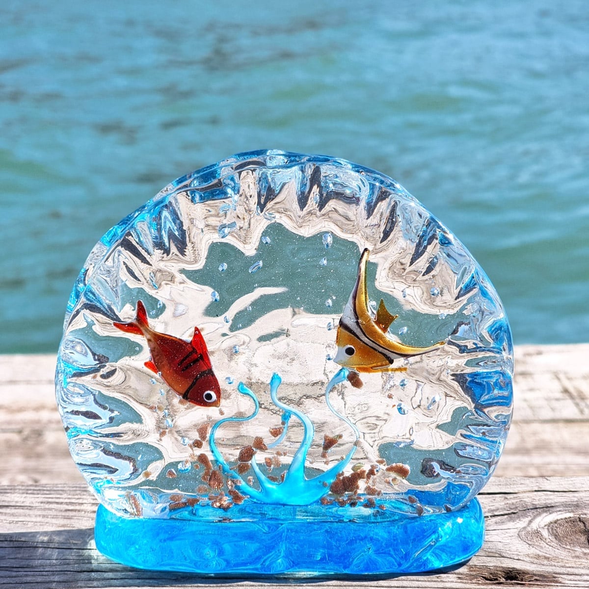aquarium_tropical_fish
