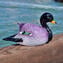 Duck - LI - Original Murano glass OMG