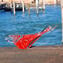 Flying duck Figurine - With colors Sommerso - 1 Piece - Orginal Murano Glass OMG